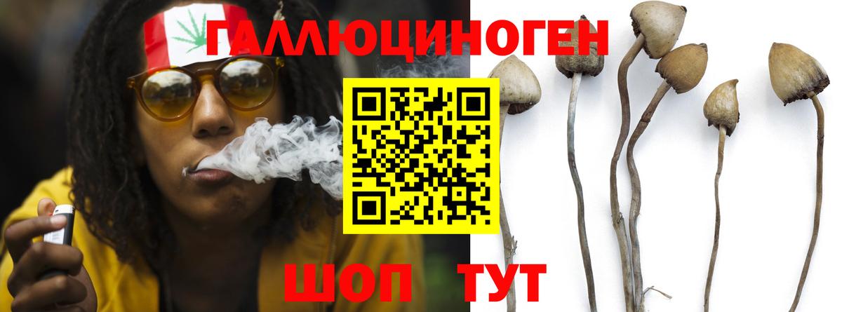 Галлюциногенные грибы Psilocybine cubensis  Вход с VPN  Галлюциногенные грибы мицелий  Ликино-Дулёво 